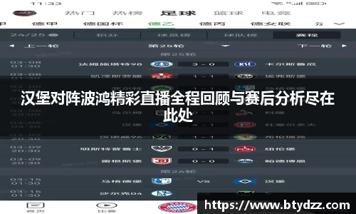 汉堡对阵波鸿精彩直播全程回顾与赛后分析尽在此处